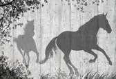 Fotobehang Horses Tree Leaves Wall | PANORAMIC - 250cm x 104cm | 130g/m2 Vlies