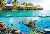 Fotobehang Island Paradise Ocean Dolphins Fishes | XL - 208cm x 146cm | 130g/m2 Vlies
