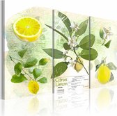 Schilderij - Fruit: lemon, 3 luik, Groen/Geel, 3 maten, Premium print