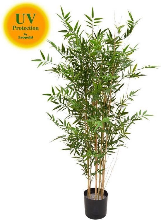 ondeugd informatie een keer Hoge kunst Bamboe plant 120 cm UV | bol.com