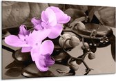 Schilderij Op Canvas Orchidee - Paars, Grijs - 120x70cm 1Luik - Foto Op Canvas - GroepArt 6000+ Schilderijen 0p Canvas Art Collectie - Wanddecoratie - Woonkamer - Slaapkamer - Canvas Print