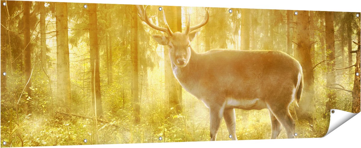 Gards Tuinposter Hert in Bos met Zon - 210x70 cm - Tuindoek - Tuindecoratie - Wanddecoratie buiten - Tuinschilderij Multikleur