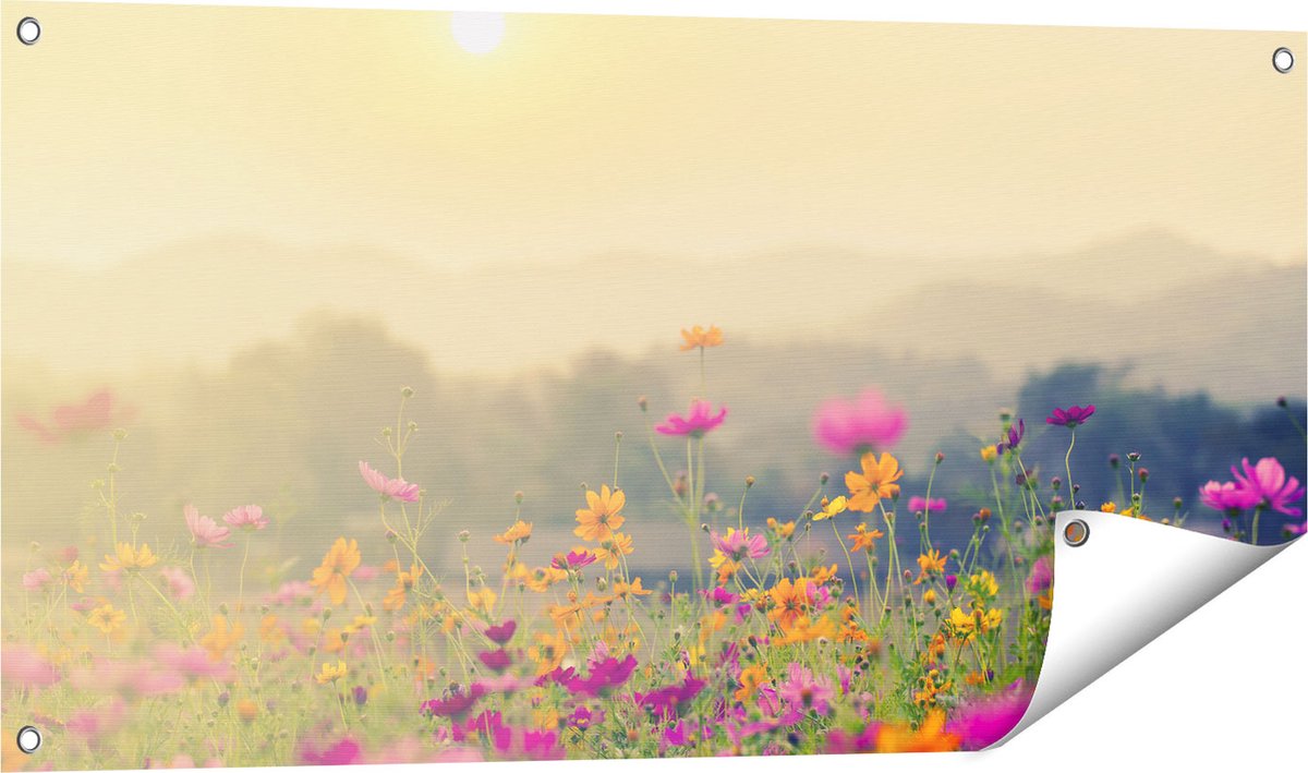 Gards Tuinposter Bloemenveld met Kosmos - Zonsondergang - 100x50 cm - Tuindoek - Tuindecoratie - Wanddecoratie buiten - Tuinschilderij Multikleur
