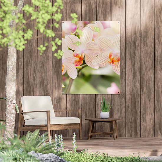 Gards Affiche de jardin Fleurs d'orchidées Witte rayées - 80x100 cm - Toile jardin - Décoration de jardin - Décoration murale extérieur - Tableau jardin