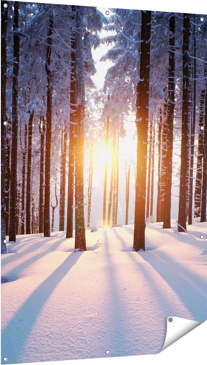 Gards Tuinposter Bos met Sneeuw tijdens de Zonsondergang - 100x150 cm - Tuindoek - Tuindecoratie - Wanddecoratie buiten - Tuinschilderij Multikleur