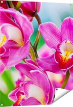 Affiche de jardin Gards Fleurs d'orchidées violet clair - 80x100 cm - Toile de jardin - Décoration de jardin - Décoration murale extérieure - Tableau de jardin