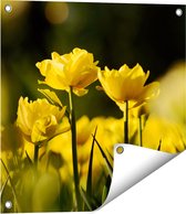 Gards Tuinposter Gele Tulpen - Bloemen - 50x50 cm - Tuindoek - Tuindecoratie - Wanddecoratie buiten - Tuinschilderij