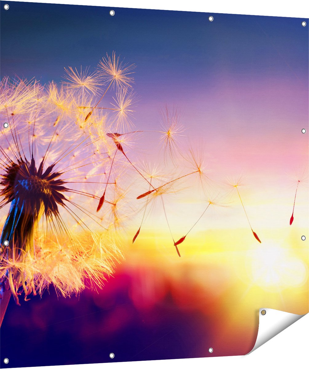 Gards Tuinposter Paardenbloem tijdens Zonsondergang - 120x120 cm - Tuindoek - Tuindecoratie - Wanddecoratie buiten - Tuinschilderij Multikleur