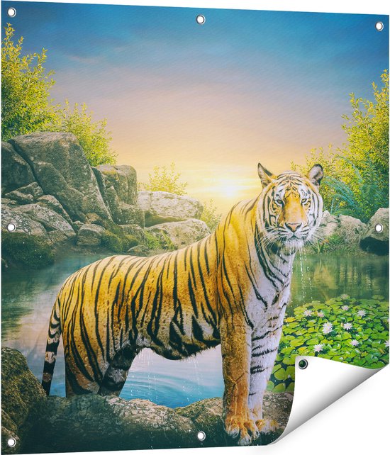 Gards Tuinposter Luipaard in een Vijver bij Zonsondergang - 80x80 cm - Tuindoek - Tuindecoratie - Wanddecoratie buiten - Tuinschilderij