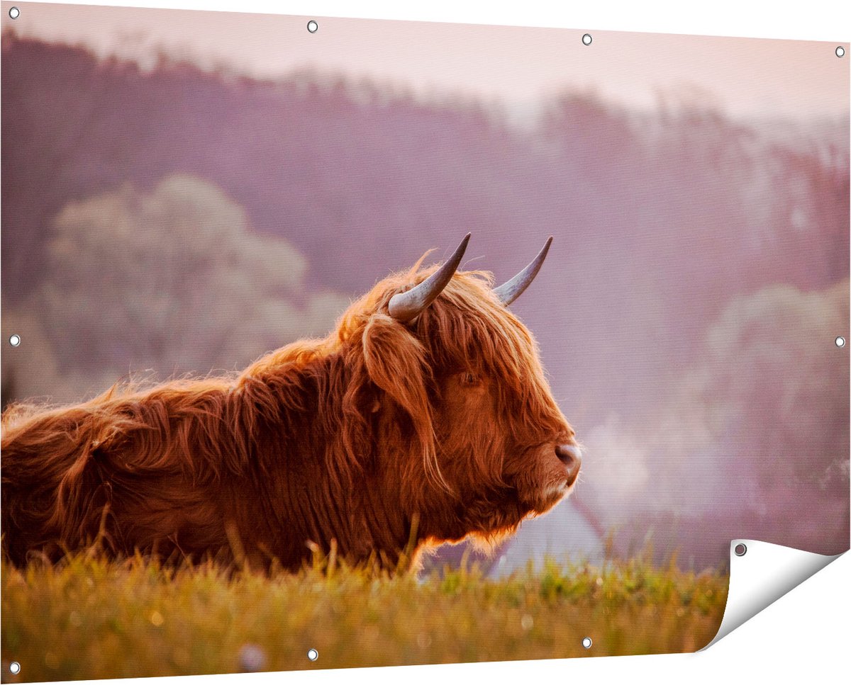 Gards Tuinposter Schotse Hooglander Koe Ligt in het Gras - 150x100 cm - Tuindoek - Tuindecoratie - Wanddecoratie buiten - Tuinschilderij Multikleur