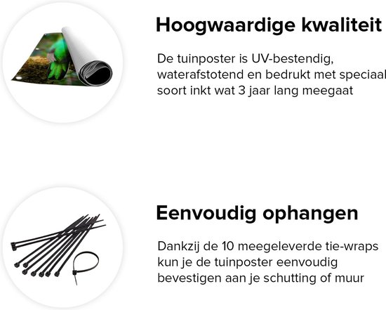 Gards Affiche de jardin Deux Vogels Quetzal verts sur une branche - 100x80 cm - Toile jardin - Décoration de jardin - Décoration murale extérieur - Tableau jardin