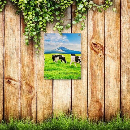 Affiche de jardin Gards Vaches dans le pré - 40x50 cm - Toile de jardin - Décoration de jardin - Décoration murale extérieure - Tableau de jardin