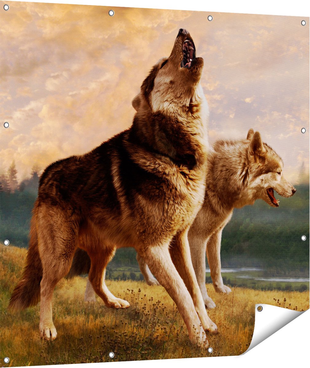 Gards Tuinposter Twee Wolven op het Gras - 110x110 cm - Tuindoek - Tuindecoratie - Wanddecoratie buiten - Tuinschilderij Multikleur