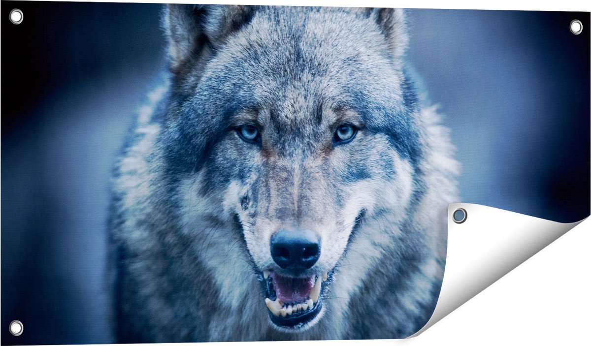 Gards Tuinposter Wolvenkop met Blauwe Ogen - Wolf - 80x40 cm - Tuindoek - Tuindecoratie - Wanddecoratie buiten - Tuinschilderij Multikleur