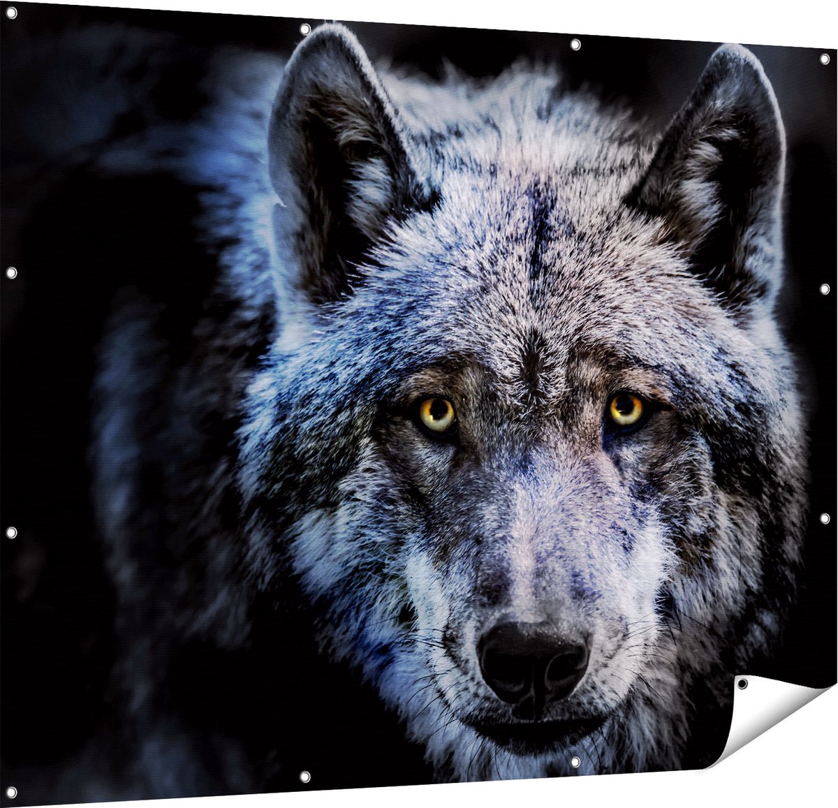 Gards Tuinposter Grijze Wolvenkop - Wolf - 150x120 cm - Tuindoek - Tuindecoratie - Wanddecoratie buiten - Tuinschilderij Multikleur