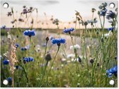 Tuin decoratie Bloemen - Zomer - Korenbloem - Blauw - Zon - Wolken - 40x30 cm - Tuindoek - Buitenposter