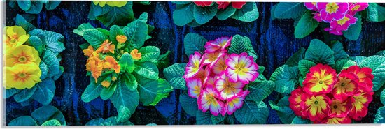 Acrylglas - Patroon van Gele en Roze Bloemboeketjes - 60x20 cm Foto op Acrylglas (Met Ophangsysteem)