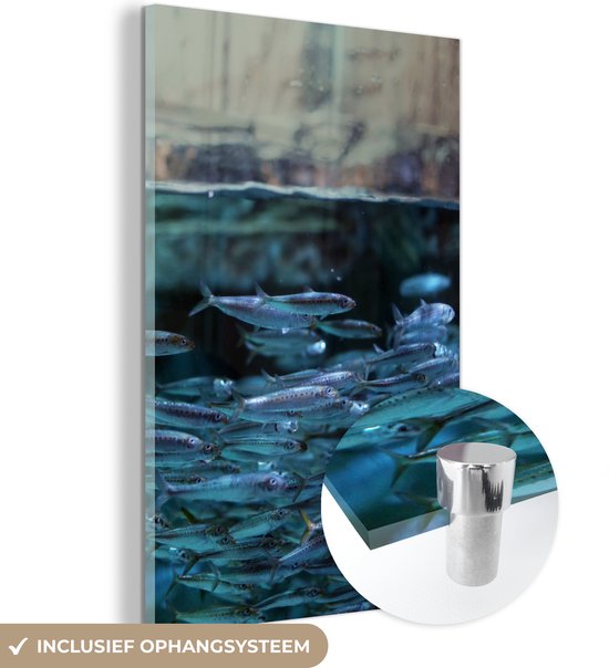 MuchoWow® Glasschilderij 20x30 cm - Schilderij acrylglas - Vissen - School - Water - Foto op glas - Schilderijen