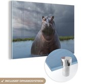 MuchoWow® Glasschilderij 120x80 cm - Schilderij acrylglas - Nijlpaard - Water - Wolken - Foto op glas - Schilderijen