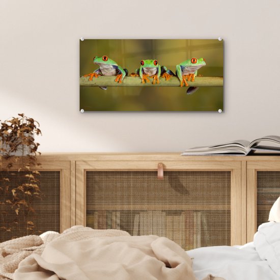 MuchoWow® Peinture sur Verre - Grenouilles - Branche - 40x20 cm - Peintures Acrylique - Photo sur Glas