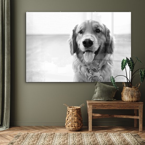 ® Glasschilderij 180x120 cm - Schilderij acrylglas - Portret van een super mooie Golden Retriever - Foto op glas - Muurdecoratie woonkamer - Wanddecoratie slaapkamer - Schilderijen