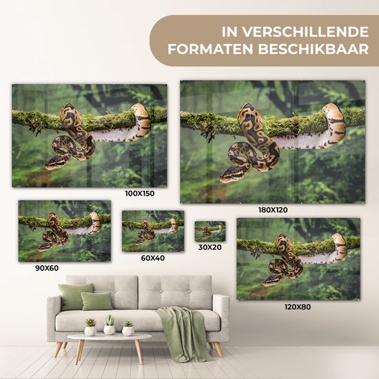 Peinture sur verre MuchoWow® 120x80 cm - Peinture acrylique sur verre - Un serpent dans un arbre - Photo sur verre - Peintures