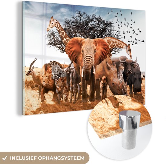 MuchoWow® Glasschilderij 60x40 cm - Schilderij acrylglas - Dieren - Giraffe - Olifant - Foto op glas - Schilderijen