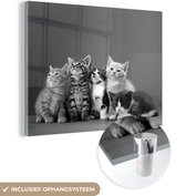 MuchoWow® Glasschilderij 120x90 cm - Schilderij acrylglas - Kittens - Blauw - Roze - Meisjes - Kinderen - Jongens - Kind - Foto op glas - Schilderijen