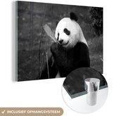 MuchoWow® Glasschilderij 180x120 cm - Schilderij acrylglas - Een panda die eet van de bamboe bladeren - zwart wit - Foto op glas - Schilderijen
