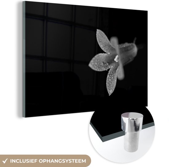MuchoWow® Glasschilderij 30x20 cm - Schilderij acrylglas - Een close-up van een lelie op een zwarte achtergrond - zwart wit - Foto op glas - Schilderijen