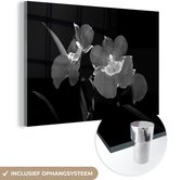 MuchoWow® Glasschilderij 90x60 cm - Schilderij acrylglas - Orchideeën tegen een zwarte achtergrond - zwart wit - Foto op glas - Schilderijen