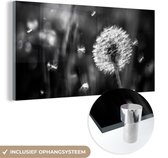 MuchoWow® Peinture sur verre - Pissenlit - Zwart - Wit - Plante - 40x20 cm - Peintures sur verre acrylique - Photo sur Glas