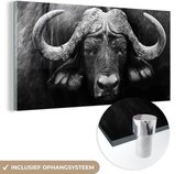 Tableau sur verre - Photo sur verre - Verre acrylique - Animaux - Buffalo - Zwart et Wit - Décoration murale animaux - 120 x 60 cm - Salon - Décoration de chambre - Décoration murale