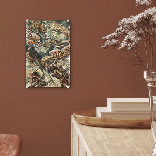 MuchoWow® Peinture sur verre 20x30 cm - Peinture acrylique sur verre - Vintage - Art - Ernst Haeckel - Salamandres - Animaux - Photo sur verre - Peintures