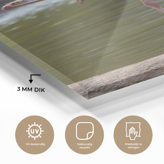 Flamant rose fond sombre Verre 20x30 cm - petit - Tirage photo sur verre (décoration murale en plexiglas)