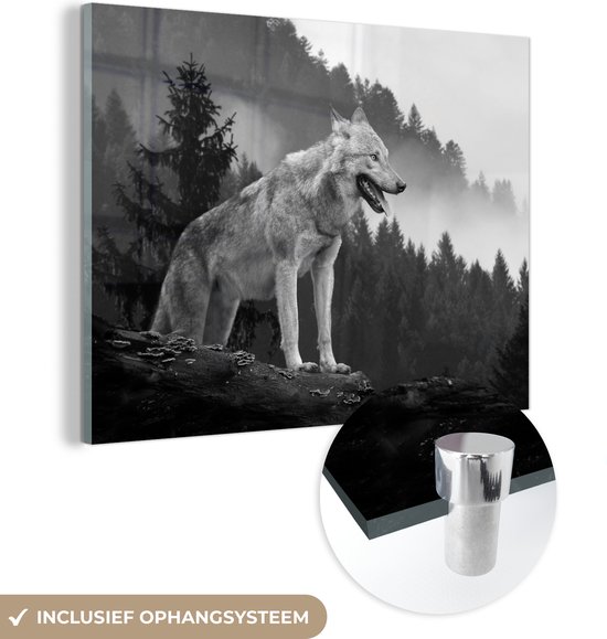 MuchoWow® Glasschilderij 80x60 cm - Schilderij acrylglas - Wolf - Bos - Zwart - Wit - Foto op glas - Schilderijen