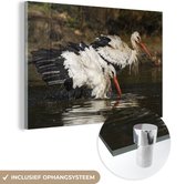 MuchoWow® Peinture sur Verre - Cigogne - Water - Wit - 180x120 cm - Peintures sur Verre Acrylique - Photo sur Glas