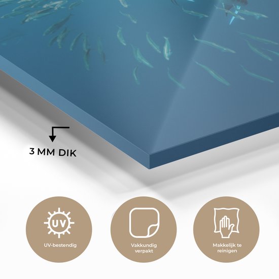 Peinture sur Verre - Espadon - Blauw - Water - 60x40 cm - Peintures sur Verre Peintures - Photo sur Glas