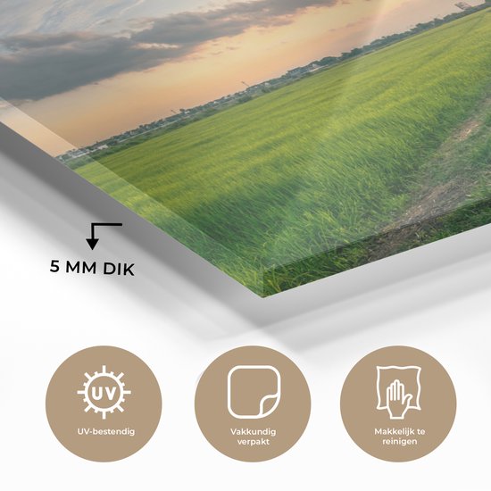 Peinture sur Verre - Prairie en Thaïlande - 120x80 cm - Peintures sur Verre Peintures - Photo sur Glas