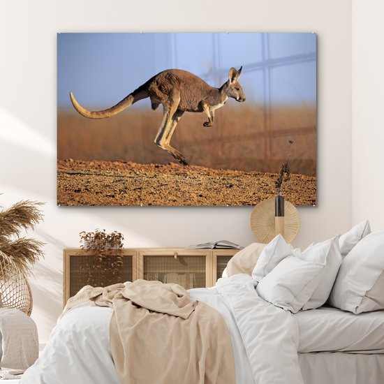 ® Glasschilderij 150x100 cm - Schilderij acrylglas - Kangoeroe - Landschap - Vacht - Bruin - Foto op glas - Muurdecoratie woonkamer - Wanddecoratie slaapkamer - Schilderijen