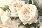 Diamond Painting Witte rozen 40x60cm. (Volledige bedekking - Vierkante steentjes) diamondpainting inclusief tools