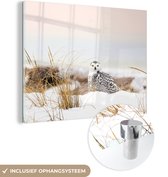 MuchoWow® Glasschilderij 40x30 cm - Schilderij acrylglas - Uil - Sneeuw - Camouflage - Foto op glas - Schilderijen