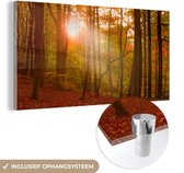 Le soleil d'automne se lève dans une forêt colorée du Jutland, Danemark Plexiglas 160x80 cm - Tirage photo sur Glas (décoration murale plexiglas)