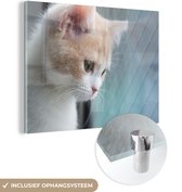 MuchoWow® Glasschilderij 80x60 cm - Schilderij acrylglas - Kitten bij het raam - Foto op glas - Schilderijen
