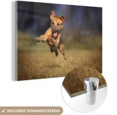 MuchoWow® Glasschilderij 150x100 cm - Schilderij acrylglas - Vrolijke hond in grasveld - Foto op glas - Schilderijen