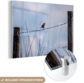 MuchoWow® Glasschilderij 150x100 cm - Schilderij acrylglas - Vogel - Hek - Lucht - Foto op glas - Schilderijen