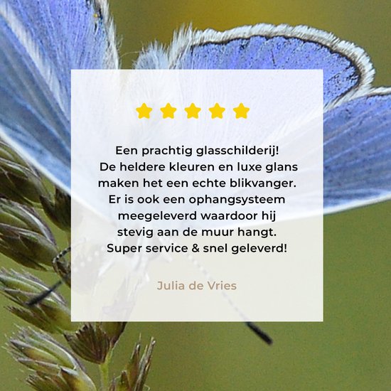 MuchoWow® Peinture sur verre - Papillon bleu sur une tige de maïs - 120x180 cm - Peintures sur verre acrylique - Photo sur Glas