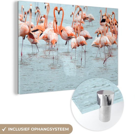 Peinture sur verre - Un groupe de flamants roses dans l'eau - 60x40 cm - Peintures Plexiglas