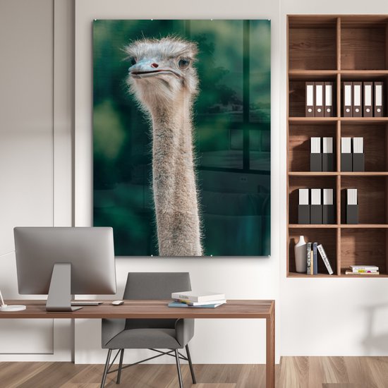 ® Glasschilderij 120x160 cm - Schilderij acrylglas - Close-up van een struisvogel - Foto op glas - Muurdecoratie woonkamer - Wanddecoratie slaapkamer - Schilderijen
