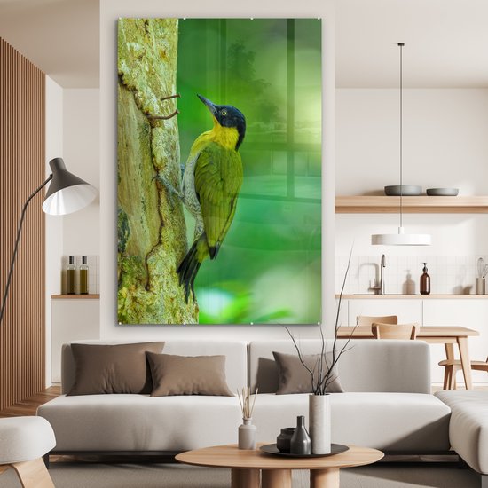 MuchoWow® Peinture sur verre 100x150 cm - Peinture sur verre acrylique - Un beau pic terrestre à fourrure jaune grimpe verticalement sur un arbre - Photo sur verre - Peintures